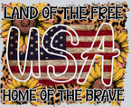 Land Of The Free Home Of The Brave - STK03527
