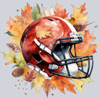 Fall Football - STK01907