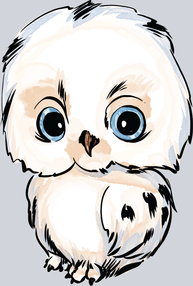 Cute Baby Owl - STK01514