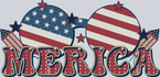 Merica Sunglasses 2 - STK04218