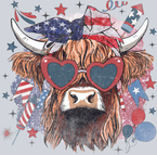 American Cow 2 - STK00163
