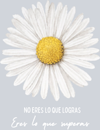 Salud Mental - STK05287