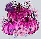 Pumpkin Pink Breast Cancer - STK06867