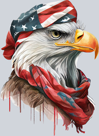 American Eagle 1 - STK00205