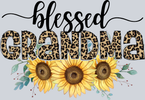 Blessed Grandma 1 - STK01009