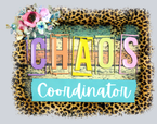 Chaos Coordinator - STK01242