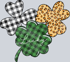 Lucky Shamrock Pattern - STK03902