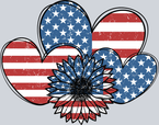 Love Hearts American Flag - STK03735