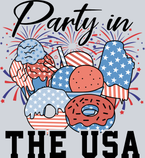 Party In The USA 4 - STK04687
