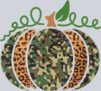 Pumpkin 1 - STK05081