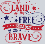 Land Of The Free Because Of The Brave 1 - STK03521