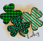 Shamrock Patterns Lucky - STK05432