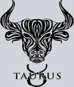 Taurus 1 - STK05922