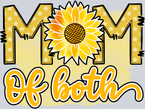 Mom Of Both - STK04323