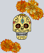 Orange Skull - STK04650