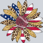 Sunflower Baseball - STK05876