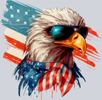 American Eagle 4 - STK00208