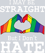 I May Be Straight But I Don't Hate 2 - STK02997