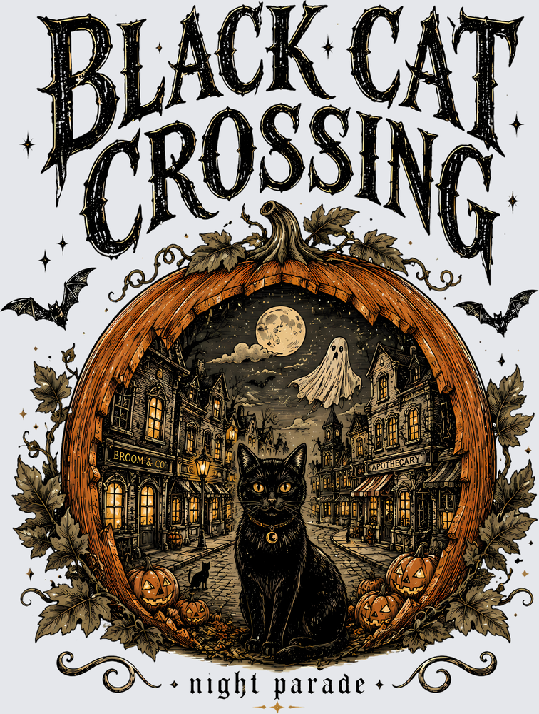 Black Cat Crossing - STK07958