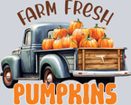 Farm Fresh Pumpkins 1 - STK07168