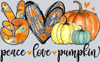 Peace Love Pumpkin 3 - STK04780