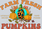 Farm Fresh Pumpkins 3 - STK01945