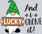 Gnome Lucky Sign - STK02316