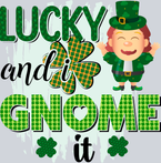 Gnome Lucky I Gnome It Pattern - STK02313
