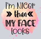 Sarcasm Nicer Then My Face Looks - STK05343