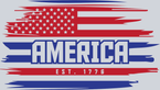 America Stripes - STK00150