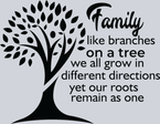 Family Branches - STK01933