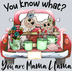You Know What You Are Mama Llama - STK06593