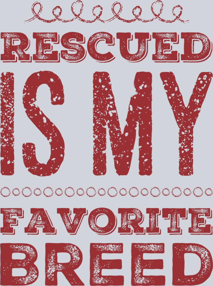 Pets Rescue Breed - STK04888