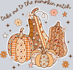 Fall Take Me To The Pumpkin Patch - Color - STK07378