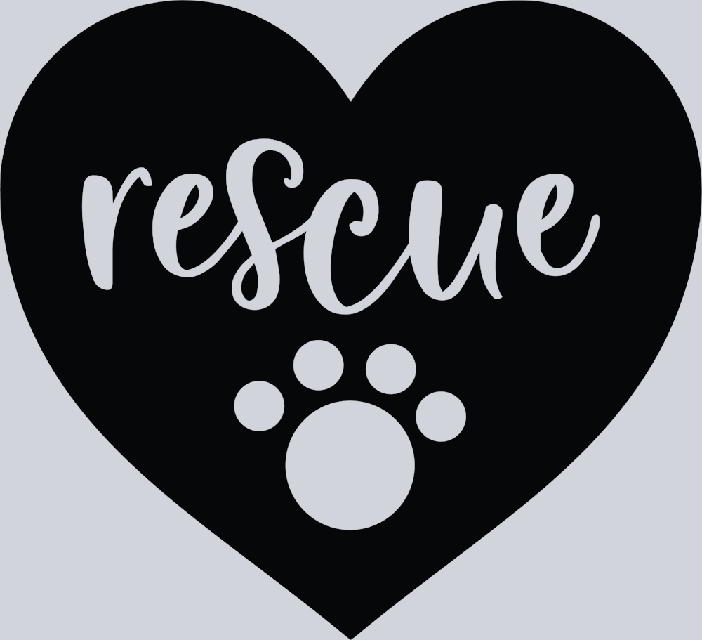 Pets Cat Rescue Heart - STK04826