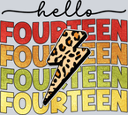 Hello Fourteen - STK02698