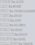 Dream Like Jacob - STK01740