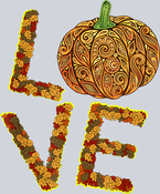 Leafy Love Paisley Pumpkin - STK03540