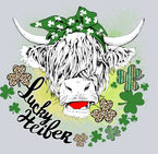 Lucky Heifer Shamrock - STK03856