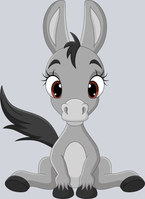 Baby Donkey - STK00353
