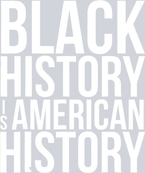 Black History Is American History 26 - STK00721