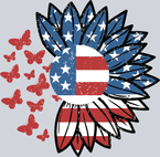 Sunflower Flag Butterflies - STK05878