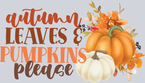 Autumn Leaves And Pumpkins Please 2 - STK07125