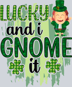 Gnome Lucky Leprachaun - STK02314