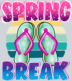 Spring Break Flip Flops - STK05760