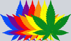 Marijuana Cannabis Leaf - STK04117