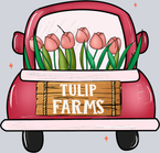 Tulip Farms - STK07277