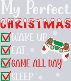My Perfect Christmas Gamer - STK04456