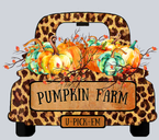 Pumpkin Farm U Pick Em 2 - STK05088
