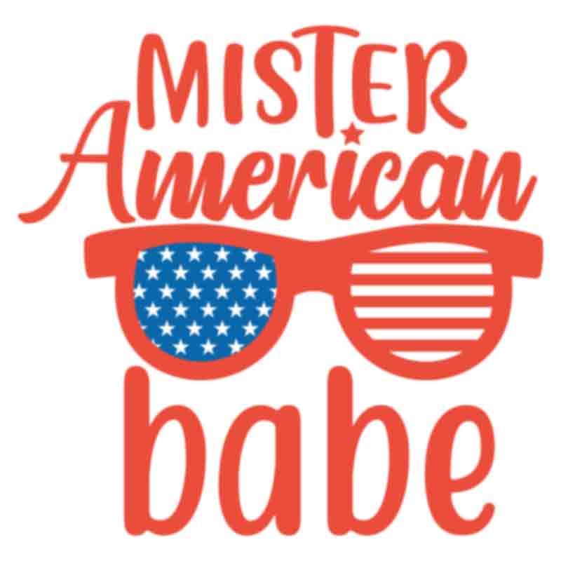 Mister American Babe (DTF Transfer)